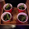 IMG_20181229_134419.jpg