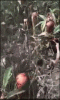 ezgif.com-optimize.gif