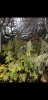 Screenshot_20181231-222842_Gallery.jpg