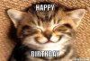 Happy Bday Kitty.jpg