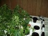 100_0079.jpg