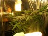 grow journal 433.jpg
