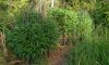 IMG_20190105_174640-01.jpeg