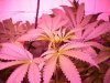 DSCN2795.JPG