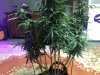 IMG_6260.JPEG