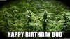 happybday.jpg