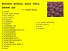 BGSA STRAIN LIST.jpg