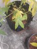 20190104_182120_resized.jpg