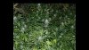Screenshot_20190109-105733_OneDrive.jpg