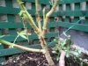DSC00022.jpg