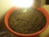 100_2905.jpg