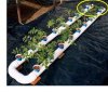 homemade-hydroponics-system-7.jpg