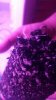 JPEG_20190117_093832.jpg
