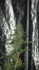 0C90D80C-671A-4CDC-9333-496238D26F18.png