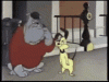 ZestyKeyJunco-max-1mb.gif