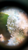 Screenshot_2019-02-07-23-15-27.png