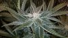 20190207_220544.jpg 20190207_220544.jpg