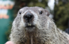 Screenshot_2019-02-08-01-52-16~2.png