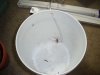 Inside of Bucket.JPG