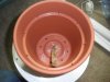 Pot with Wick.JPG