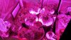 20190208_185051.jpg