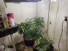 20190209_095656.jpg