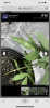 B7B25F13-8ABC-4C4A-B21C-79D26248D60E.png