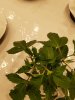 20190211_075628.jpg