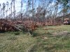 DSCF0535.JPG
