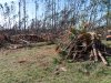 DSCF0537.JPG