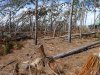 DSCF0561.JPG