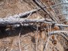 DSCF0565.JPG