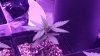 P_20190213_175824_vHDR_On.jpg