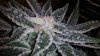 20190217_140553.jpg