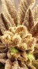 20180911_140640.jpg