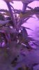 20190220_080931.jpg