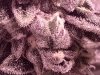 IMG_20190222_214602430.jpg