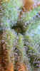 C0DD0E7D-5771-4BFA-A2CF-CFEAEF63DA31.png