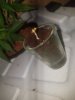 20190224_044016.jpg