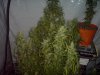 DSC00013.jpg