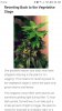 Screenshot_20190226-044055_Chrome.jpg