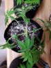 20190227_021615.jpg