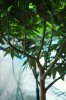 DSC09594.JPG