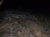DSCF0721.JPG