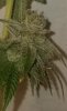 20190305_210819.jpg