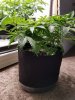 20190307_020605.jpg