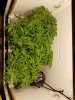 20190307_021221.jpg