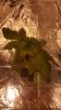 20190310_105155.jpg 20190310_105155.jpg