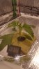 20190310_105122.jpg 20190310_105122.jpg