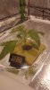 20190310_105134.jpg 20190310_105134.jpg